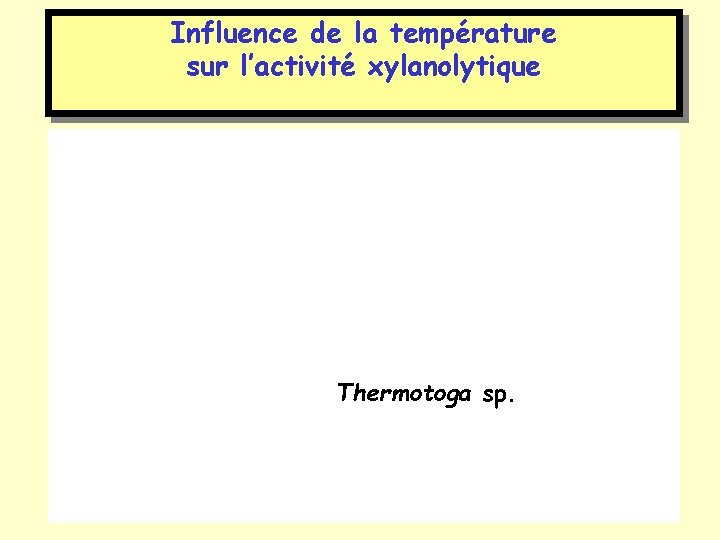 Influence de la température sur l’activité xylanolytique Thermotoga sp. 