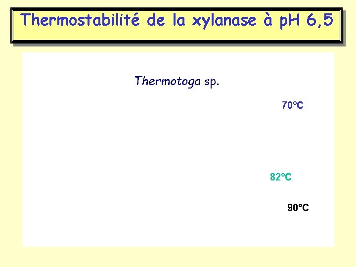 Thermostabilité de la xylanase à p. H 6, 5 Thermotoga sp. 70°C 82°C 90°C