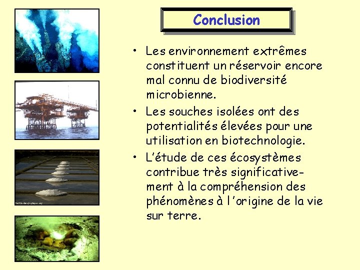 Conclusion • Les environnement extrêmes constituent un réservoir encore mal connu de biodiversité microbienne.