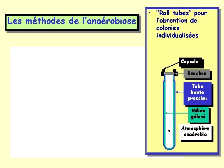 Les méthodes de l’anaérobiose • “Roll tubes” pour l’obtention de colonies individualisées Capsule Bouchon