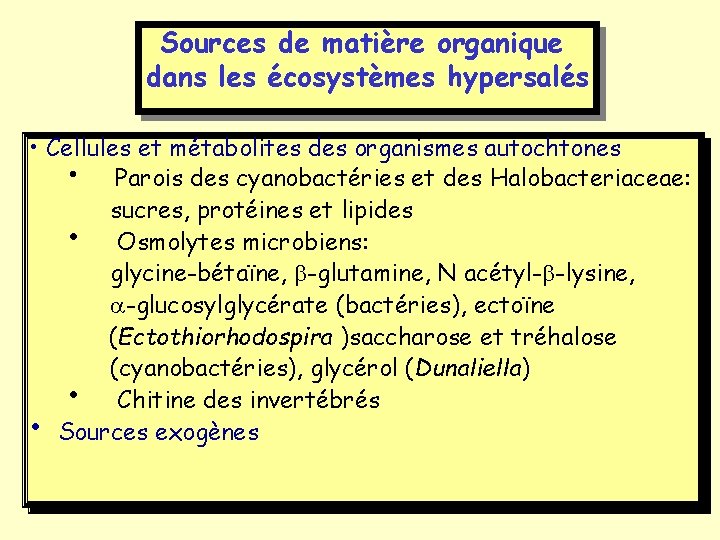 Sources de matière organique dans les écosystèmes hypersalés • Cellules et métabolites des organismes