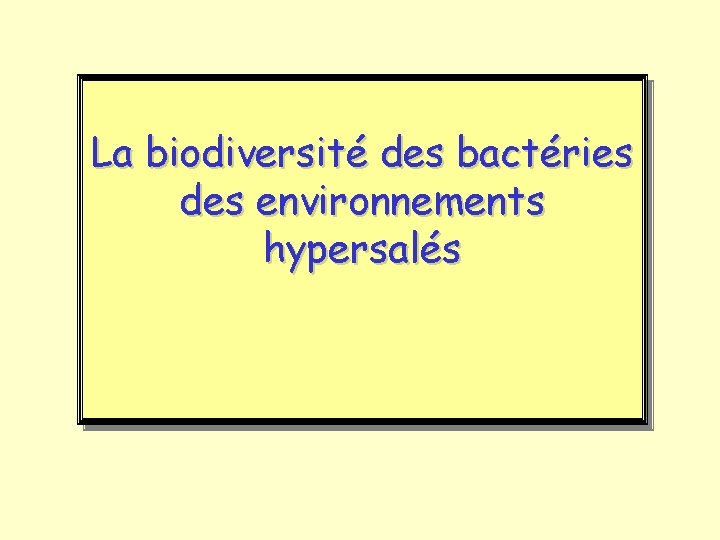 La biodiversité des bactéries des environnements hypersalés 