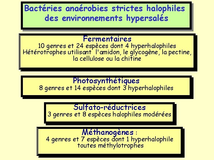 Bactéries anaérobies strictes halophiles des environnements hypersalés Fermentaires 10 genres et 24 espèces dont