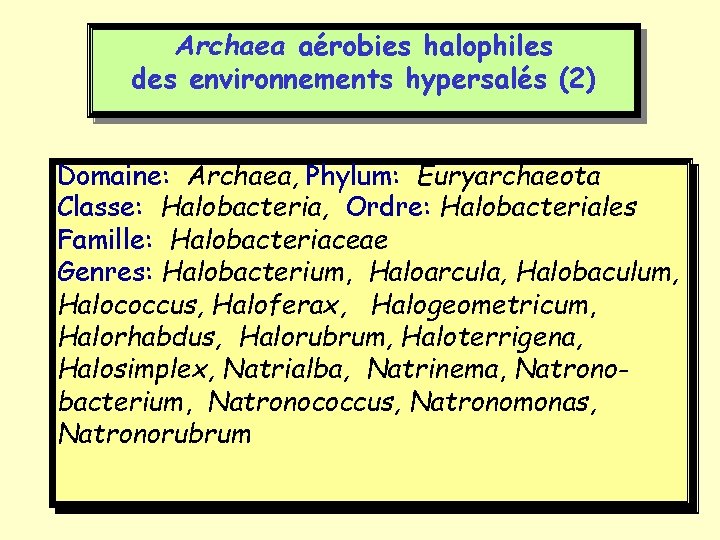 Archaea aérobies halophiles des environnements hypersalés (2) Domaine: Archaea, Phylum: Euryarchaeota Classe: Halobacteria, Ordre: