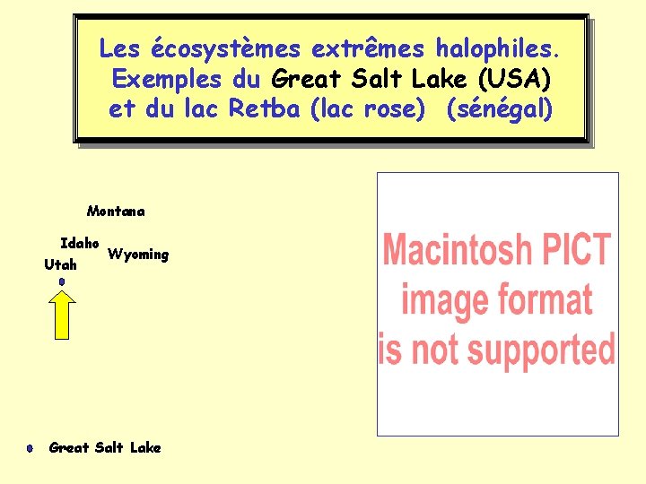 Les écosystèmes extrêmes halophiles. Exemples du Great Salt Lake (USA) et du lac Retba