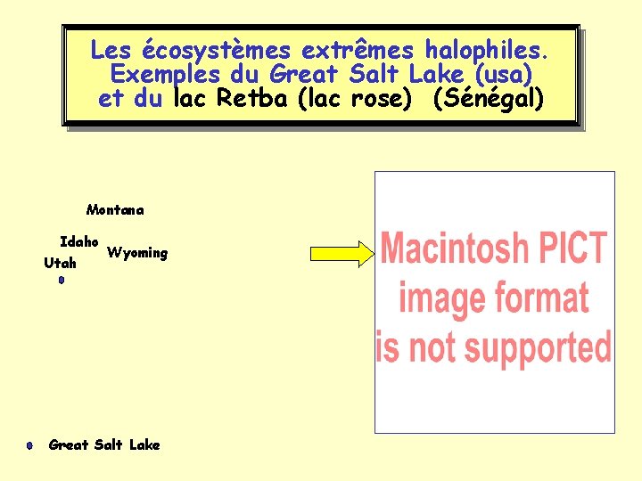 Les écosystèmes extrêmes halophiles. Exemples du Great Salt Lake (usa) et du lac Retba