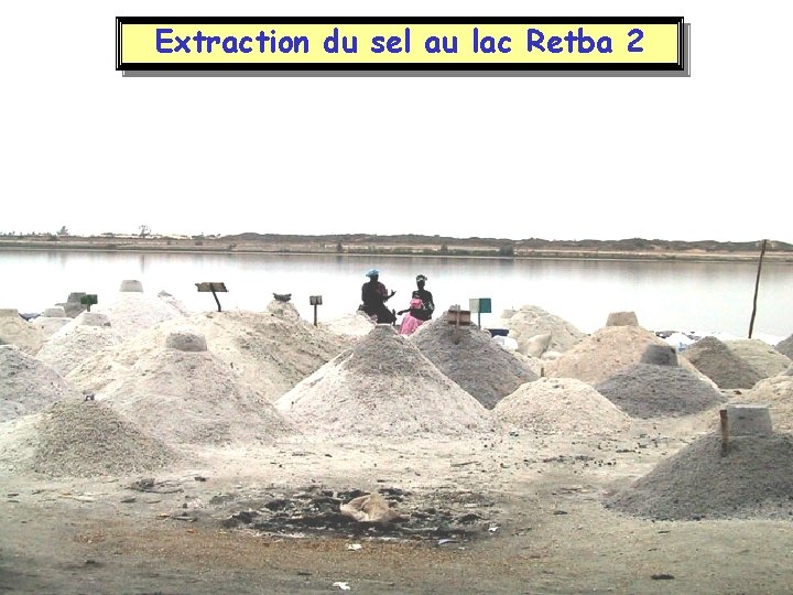 Extraction du sel au lac Retba 2 