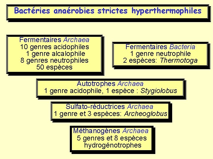Bactéries anaérobies strictes hyperthermophiles Fermentaires Archaea 10 genres acidophiles 1 genre alcalophile 8 genres