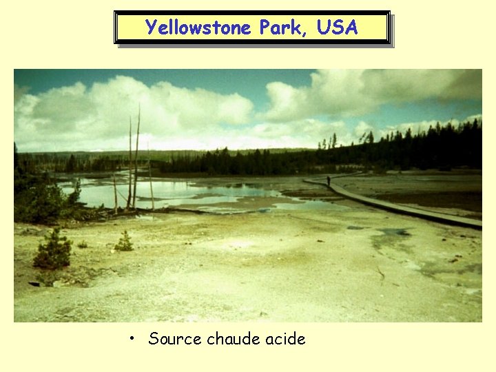 Yellowstone Park, USA • Source chaude acide 