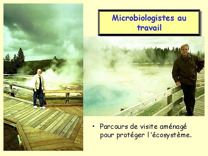 Microbiologistes au travail • Parcours de visite aménagé pour protéger l ’écosystème. 