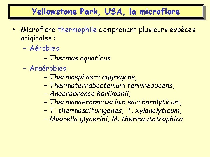 Yellowstone Park, USA, la microflore • Microflore thermophile comprenant plusieurs espèces originales : –