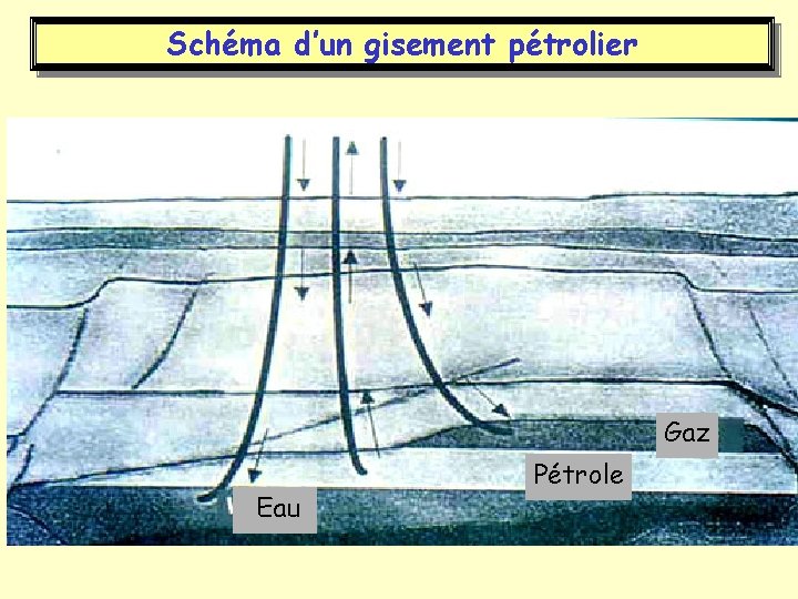 Schéma d’un gisement pétrolier Gaz Eau Pétrole 