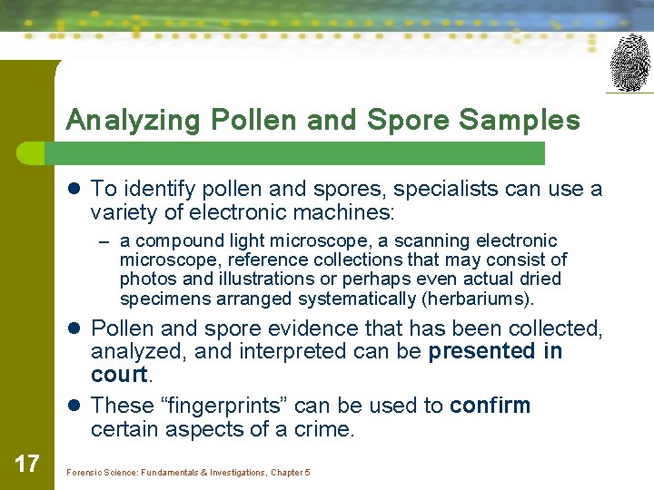 Analyzing Pollen and Spore Samples l To identify pollen and spores, specialists can use