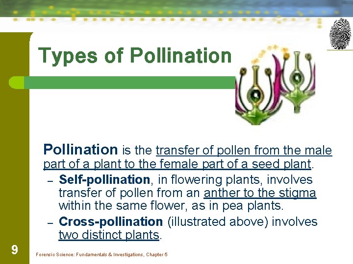 Types of Pollination is the transfer of pollen from the male part of a