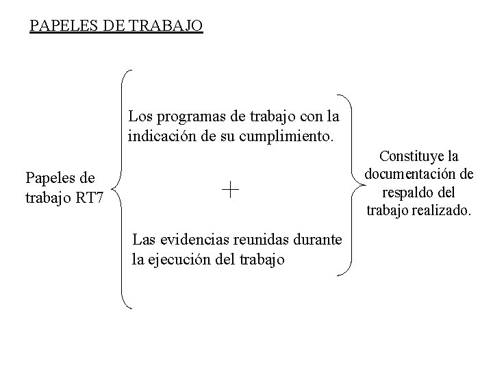 PAPELES DE TRABAJO Los programas de trabajo con la indicación de su cumplimiento. Constituye