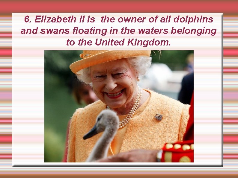 6. Elizabeth II is the owner of all dolphins and swans floating in the