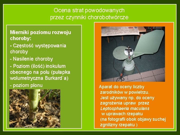 Ocena strat powodowanych przez czynniki chorobotwórcze Mierniki poziomu rozwoju choroby: - Częstość występowania choroby