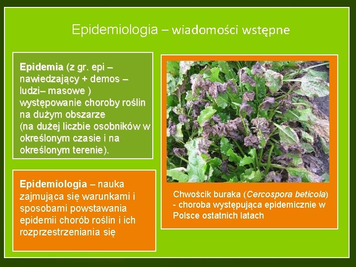 Epidemiologia – wiadomości wstępne Epidemia (z gr. epi – nawiedzający + demos – ludzi–