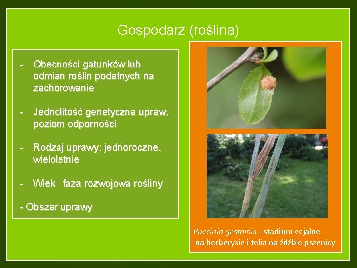 Gospodarz (roślina) - Obecności gatunków lub odmian roślin podatnych na zachorowanie - Jednolitość genetyczna