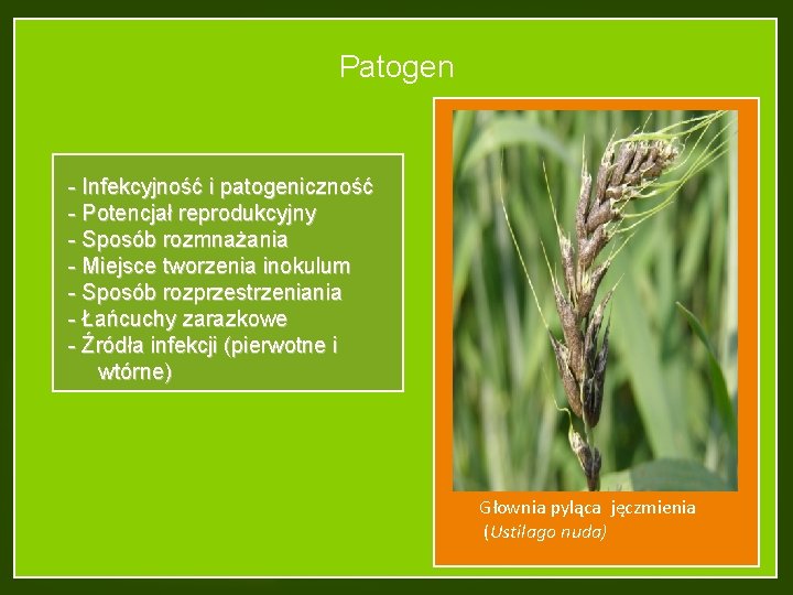 Patogen - Infekcyjność i patogeniczność - Potencjał reprodukcyjny - Sposób rozmnażania - Miejsce tworzenia