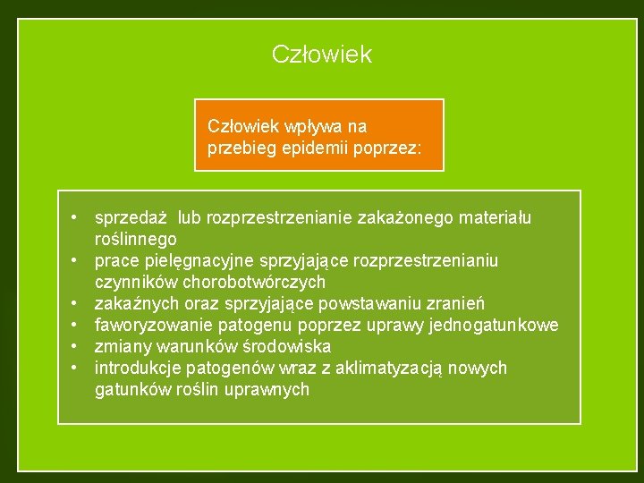 Człowiek wpływa na przebieg epidemii poprzez: • sprzedaż lub rozprzestrzenianie zakażonego materiału roślinnego •