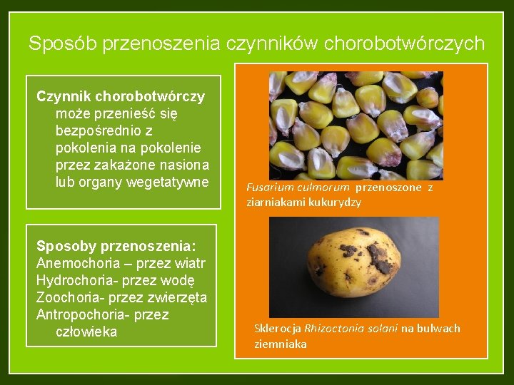 Sposób przenoszenia czynników chorobotwórczych Czynnik chorobotwórczy może przenieść się bezpośrednio z pokolenia na pokolenie