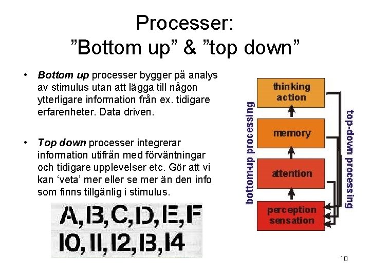 Processer: ”Bottom up” & ”top down” • Bottom up processer bygger på analys av