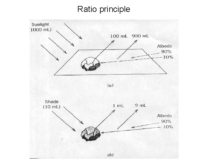 Ratio principle 