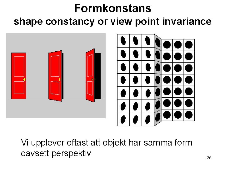 Formkonstans shape constancy or view point invariance Vi upplever oftast att objekt har samma