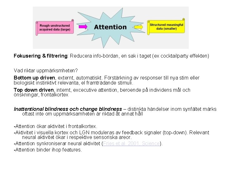 Fokusering & filtrering: Reducera info-bördan, en sak i taget (ex cocktailparty effekten) Vad riktar