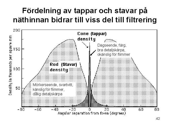 Fördelning av tappar och stavar på näthinnan bidrar till viss del till filtrering (tappar)