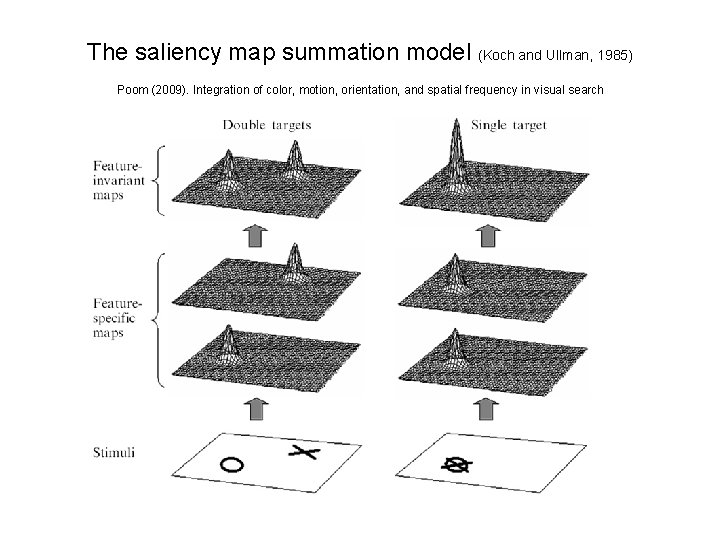 The saliency map summation model (Koch and Ullman, 1985) Poom (2009). Integration of color,