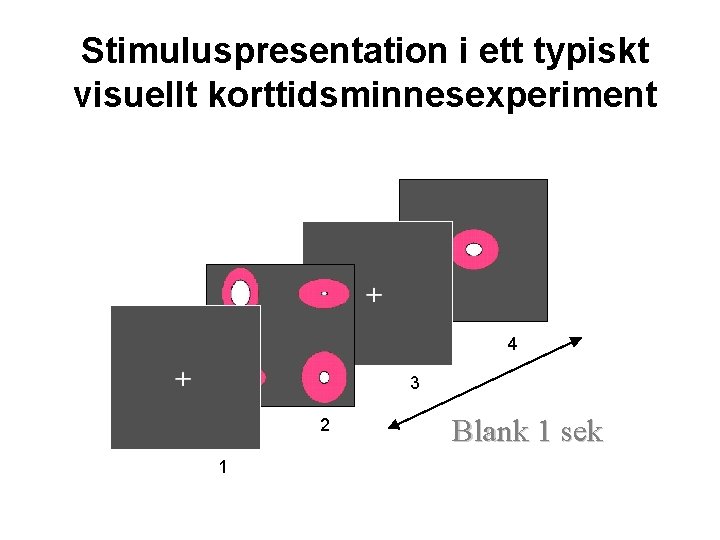 Stimuluspresentation i ett typiskt visuellt korttidsminnesexperiment 4 3 2 1 Blank 1 sek 