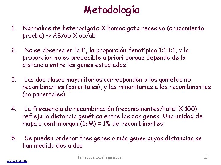 Metodología 1. Normalmente heterocigoto X homocigoto recesivo (cruzamiento prueba) -> AB/ab X ab/ab 2.