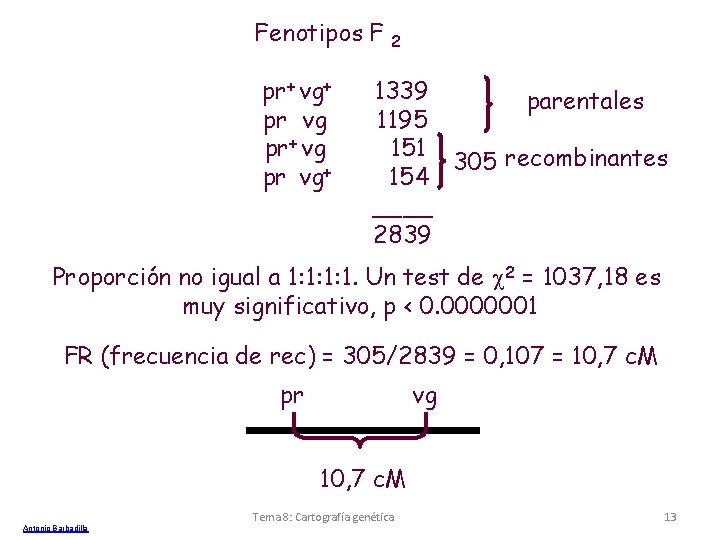 Fenotipos F pr+ vg+ pr vg pr+ vg pr vg+ 2 1339 parentales 1195