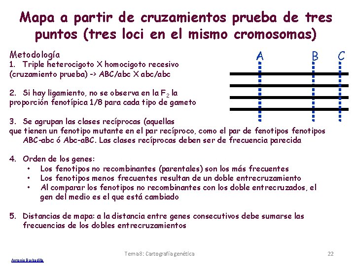 Mapa a partir de cruzamientos prueba de tres puntos (tres loci en el mismo