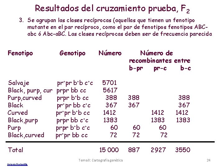 Resultados del cruzamiento prueba, F 2 3. Se agrupan las clases recíprocas (aquellas que