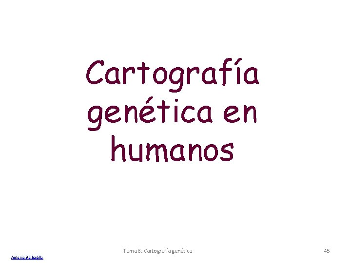 Cartografía genética en humanos Tema 8: Cartografía genética Antonio Barbadilla 45 