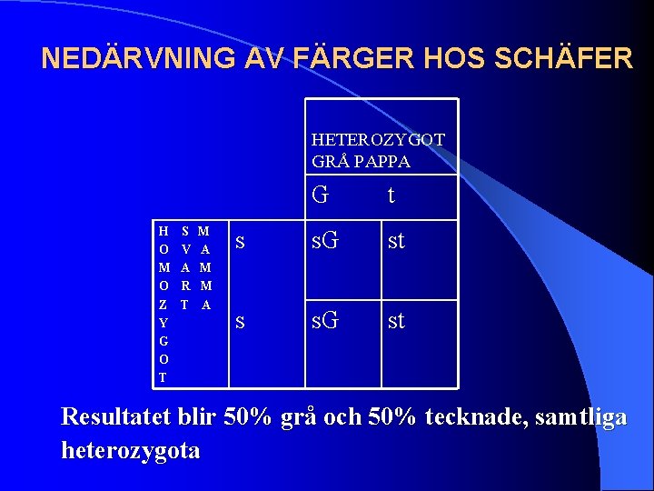 NEDÄRVNING AV FÄRGER HOS SCHÄFER HETEROZYGOT GRÅ PAPPA H O M O Z Y