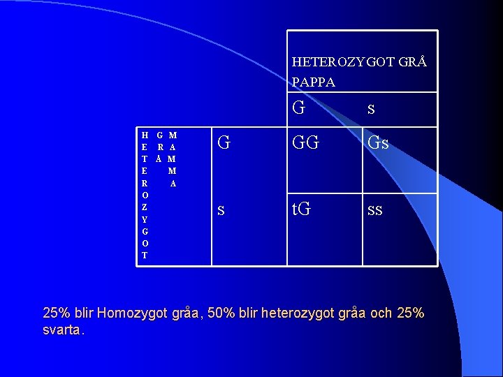 HETEROZYGOT GRÅ PAPPA H G M E R A T Å M E M