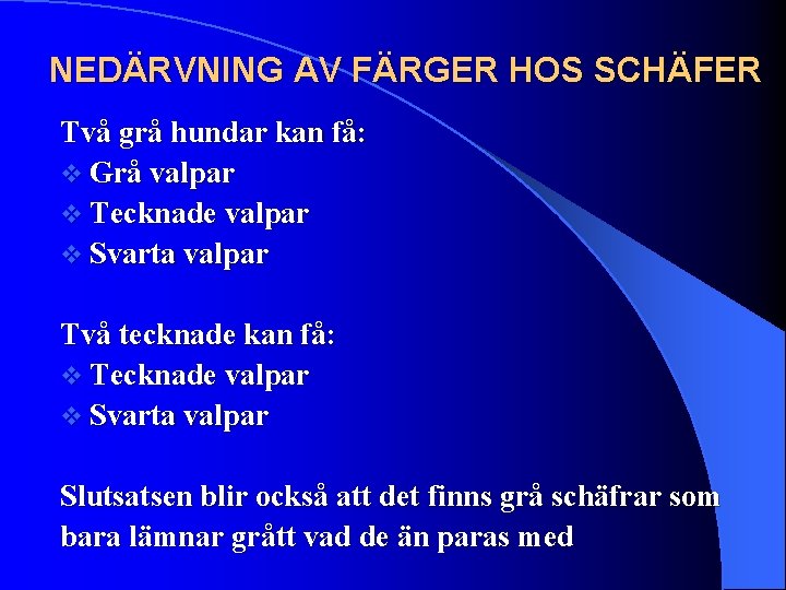 NEDÄRVNING AV FÄRGER HOS SCHÄFER Två grå hundar kan få: v Grå valpar v