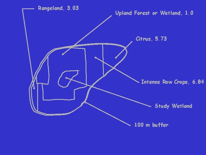 Rangeland, 3. 03 Upland Forest or Wetland, 1. 0 Citrus, 5. 73 Intense Row