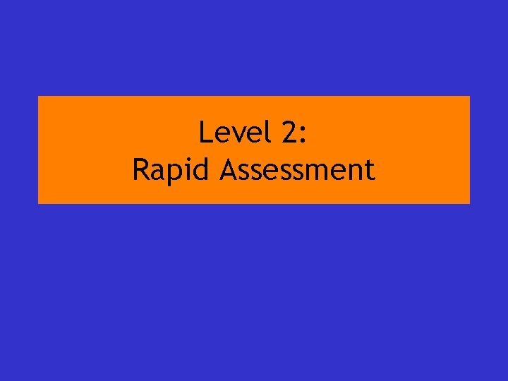 Level 2: Rapid Assessment 