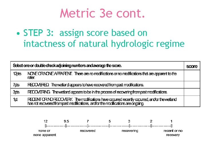Metric 3 e cont. • STEP 3: assign score based on intactness of natural