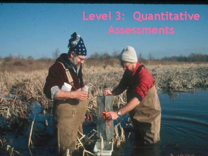 Level 3: Quantitative Assessments 