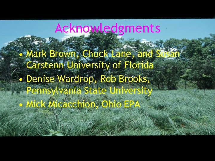 Acknowledgments • Mark Brown, Chuck Lane, and Susan Carstenn University of Florida • Denise