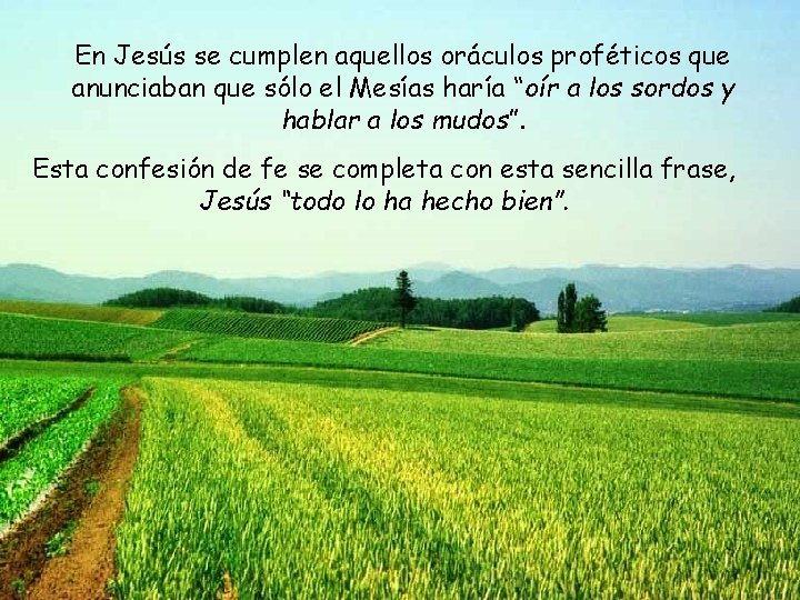 En Jesús se cumplen aquellos oráculos proféticos que anunciaban que sólo el Mesías haría