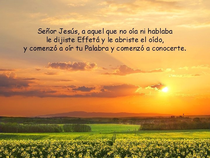 Señor Jesús, a aquel que no oía ni hablaba le dijiste Effetá y le