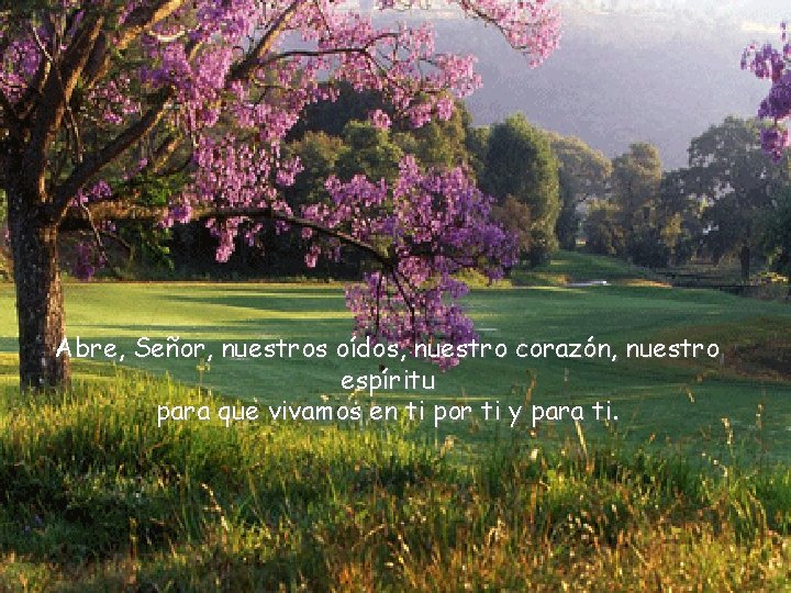 Abre, Señor, nuestros oídos, nuestro corazón, nuestro espíritu para que vivamos en ti por