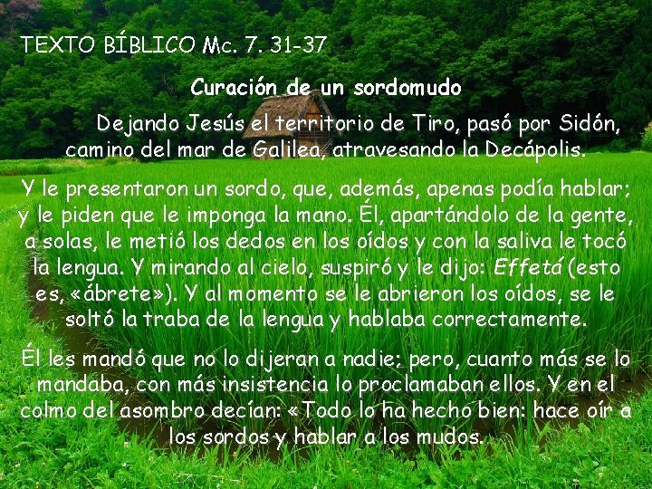 TEXTO BÍBLICO Mc. 7. 31 -37 Curación de un sordomudo Dejando Jesús el territorio